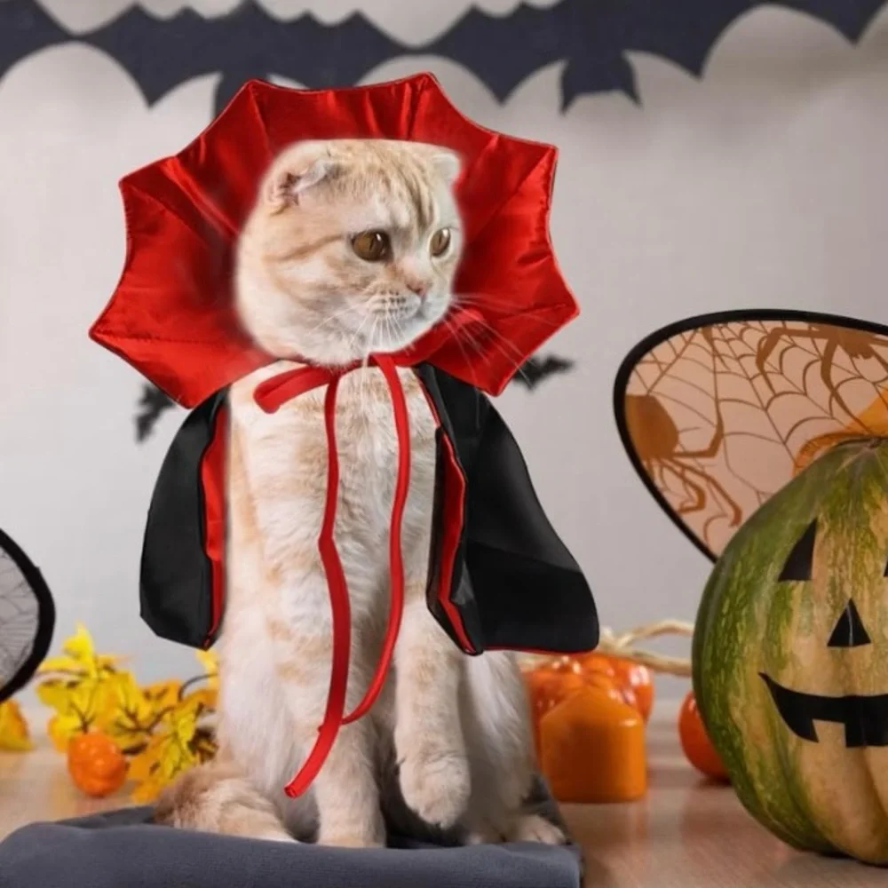 Vampire Bat Cat or Small Dog Costume Red/Black Satin by Ablaze Zai NEW